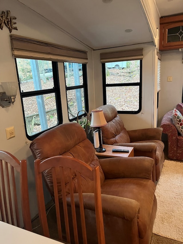 142 Gander Gap Rd, Hiawassee, GA 30546 - view of carpeted living room