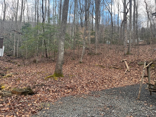 142 Gander Gap Rd, Hiawassee, GA 30546 - view of yard