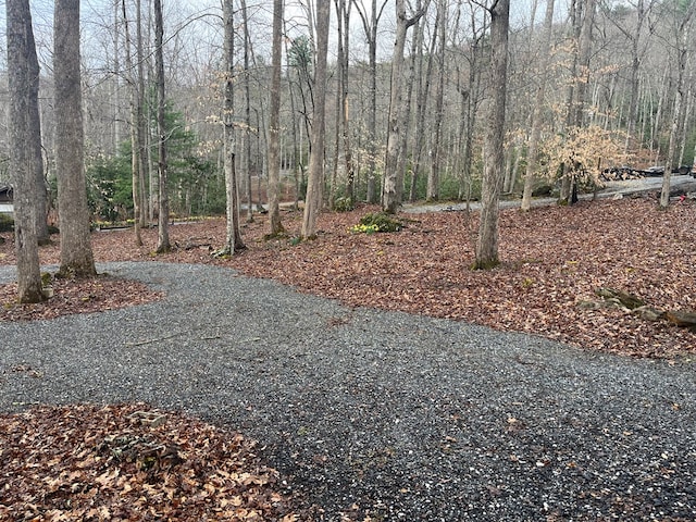 142 Gander Gap Rd, Hiawassee, GA 30546 - view of yard featuring a view of trees