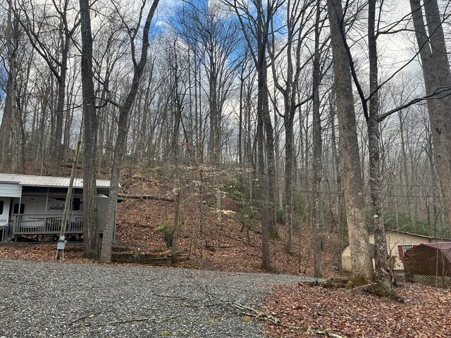 142 Gander Gap Rd, Hiawassee, GA 30546 - view of yard with covered porch