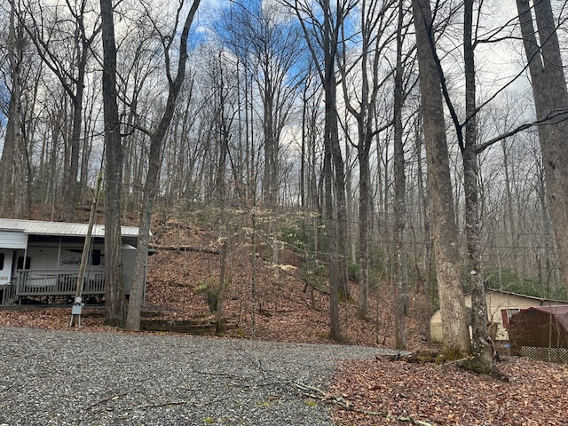 142 Gander Gap Rd, Hiawassee, GA 30546 - view of yard featuring a porch