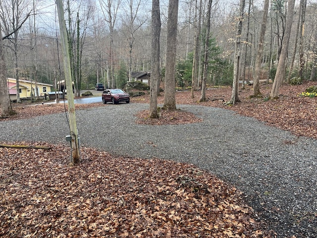 142 Gander Gap Rd, Hiawassee, GA 30546 - view of road