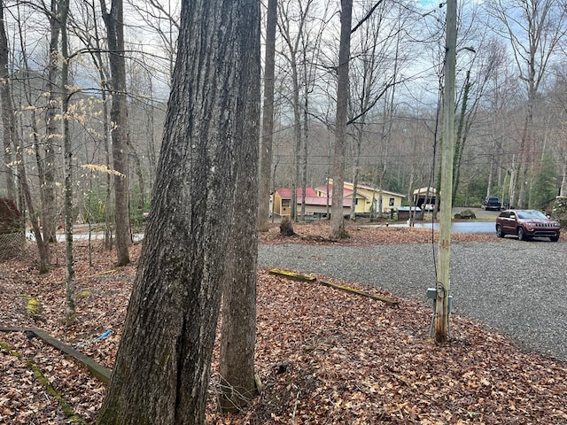 142 Gander Gap Rd, Hiawassee, GA 30546 - view of road with a view of trees