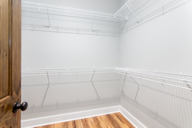 spacious closet with hardwood / wood-style flooring