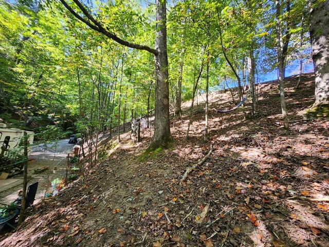view of landscape featuring a view of trees