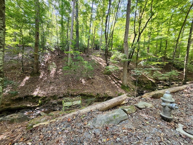 view of local wilderness featuring a forest view