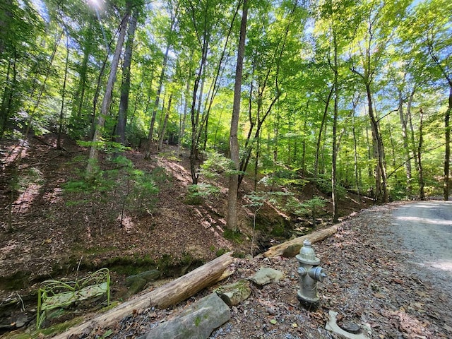 view of nature with a wooded view