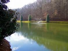 view of yard with a fenced in pool