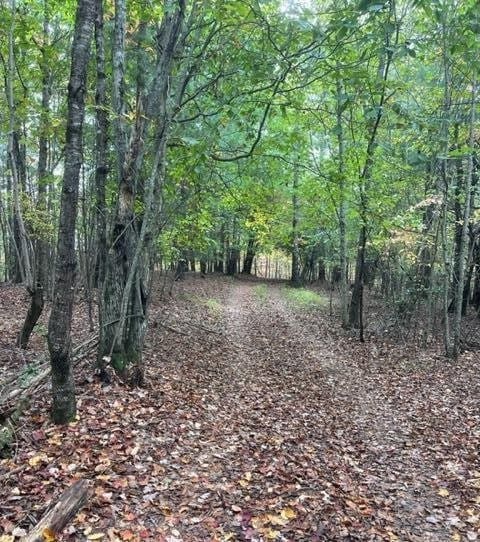 TBD Tobe Stalcup Rd, Murphy, NC 28906