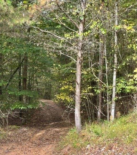 TBD Tobe Stalcup Rd, Murphy, NC 28906