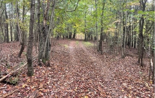 TBD Tobe Stalcup Rd, Murphy, NC 28906
