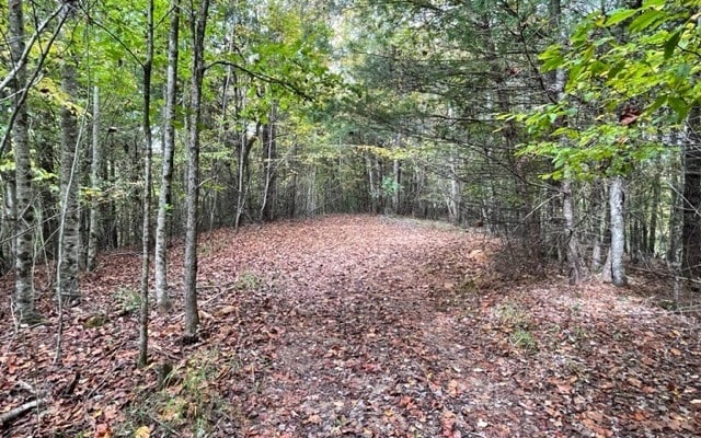 TBD Tobe Stalcup Rd, Murphy, NC 28906