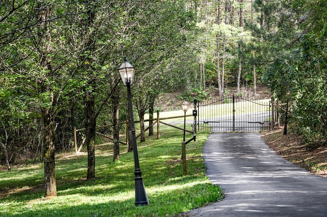 view of community featuring a yard