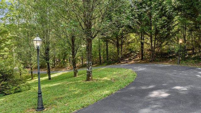 view of property's community with a yard