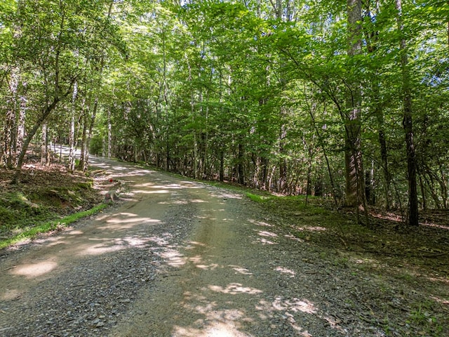 Listing photo 3 for LOT5 Galloway Blvd, Blairsville GA 30512