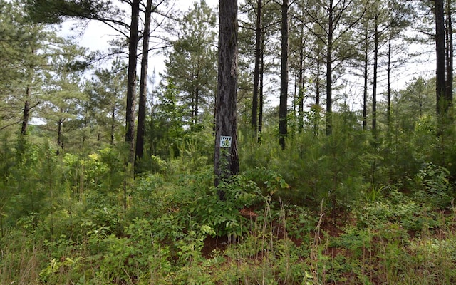 LT50 Pinehurst Rd, Blairsville GA, 30512 land for sale