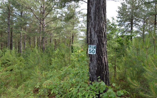 Listing photo 3 for LT50 Pinehurst Rd, Blairsville GA 30512