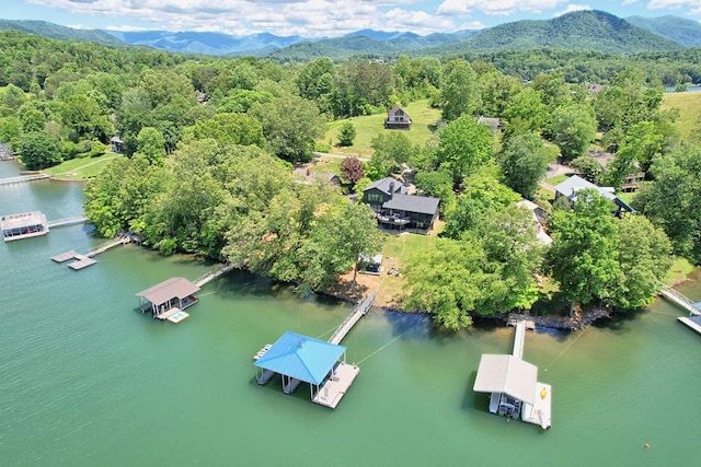 drone / aerial view with a wooded view and a water and mountain view
