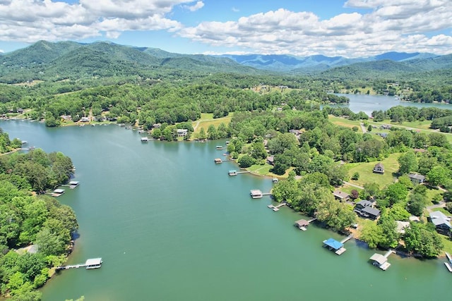 bird's eye view with a view of trees and a water and mountain view