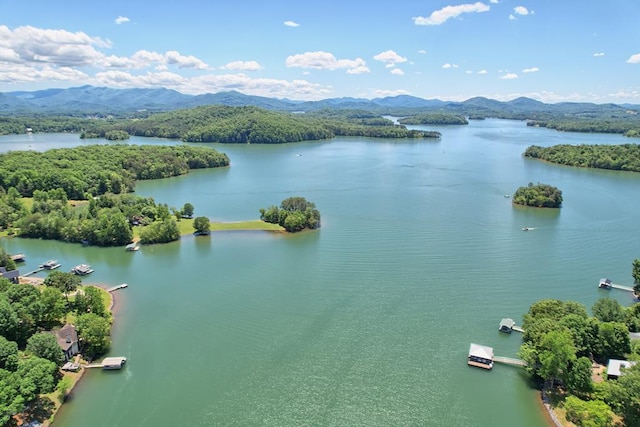 bird's eye view with a water and mountain view and a view of trees