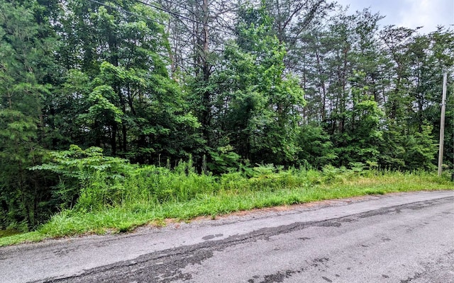 LOT32 Lakeview Dr, Turtletown TN, 37391 land for sale