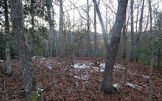 Listing photo 2 for TR1 Town Mountain Rd, Hayesville NC 28904