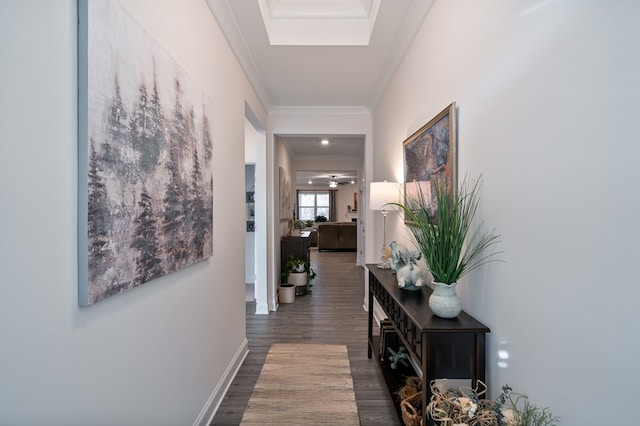 hall with dark hardwood / wood-style flooring and ornamental molding