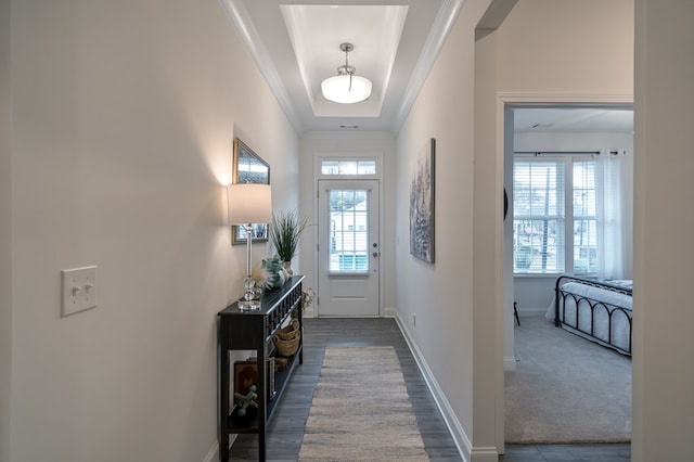 doorway to outside featuring a raised ceiling, crown molding, and dark hardwood / wood-style floors