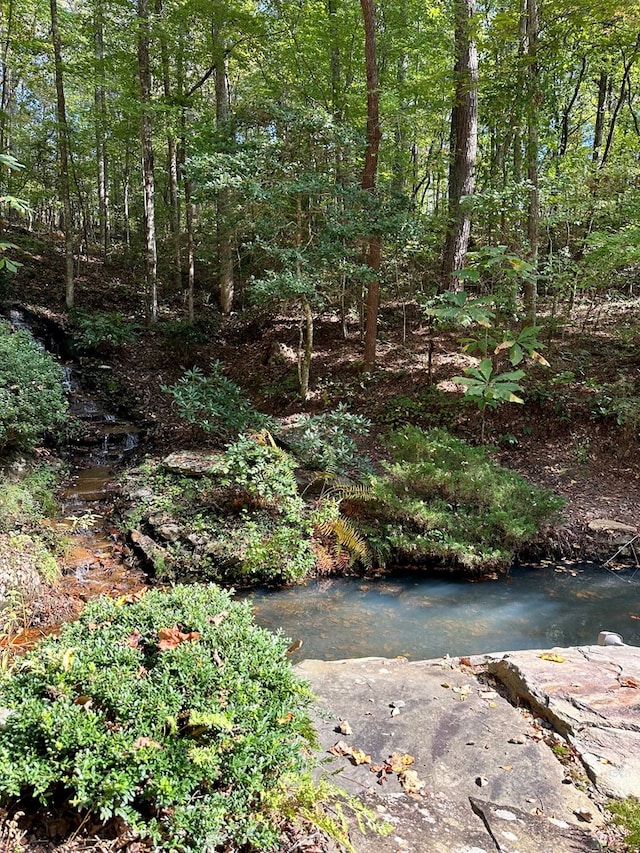 Listing photo 3 for LOT27 Mountain Creek Hollow Dr, Talking Rock GA 30175