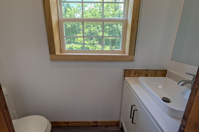 bathroom with vanity, toilet, and a healthy amount of sunlight