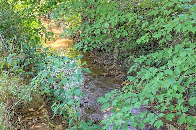 view of nature with a water view