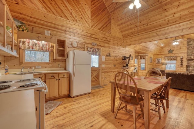 dining room featuring a wealth of natural light, light hardwood / wood-style floors, and wood walls