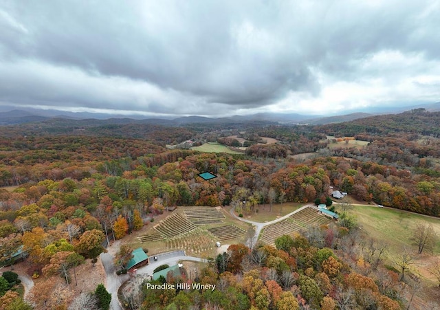 drone / aerial view with a rural view