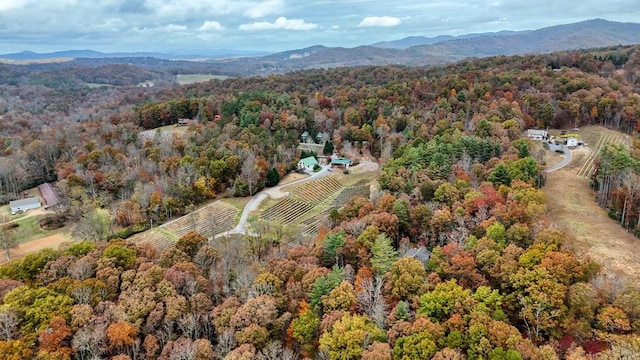 birds eye view of property featuring a mountain view