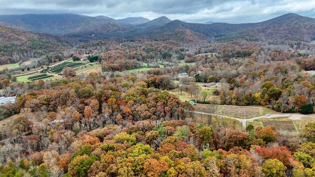 view of mountain feature