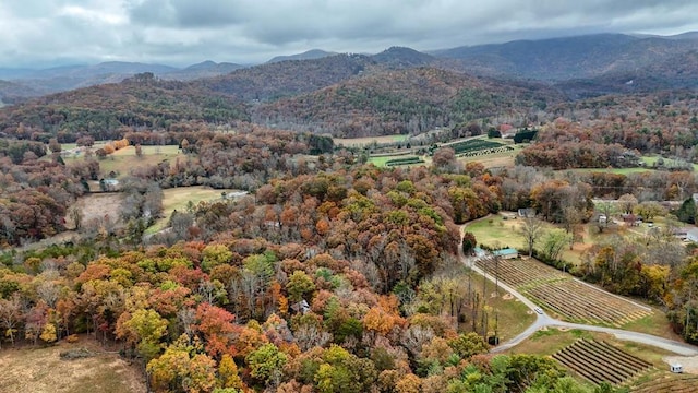 property view of mountains featuring a rural view