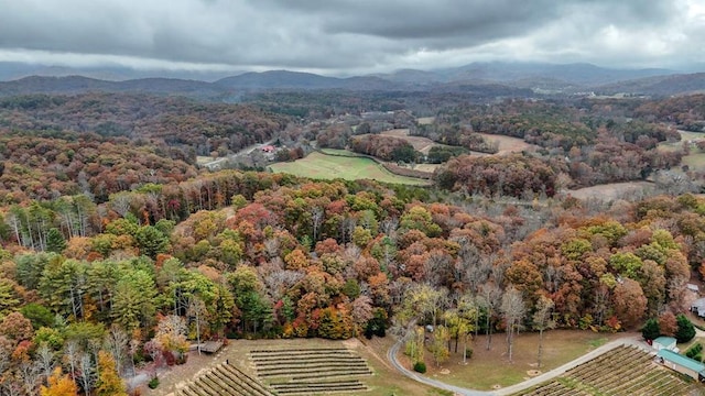 birds eye view of property with a mountain view