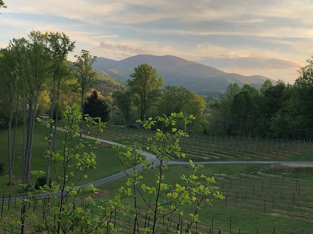 property view of mountains featuring a rural view