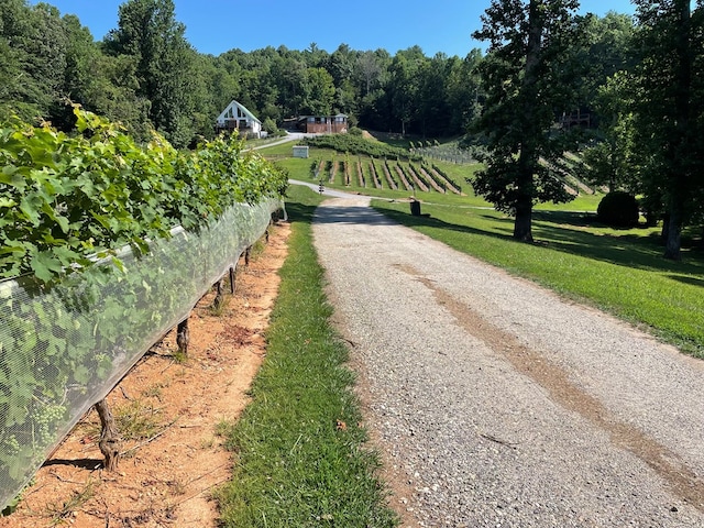 view of street with a rural view