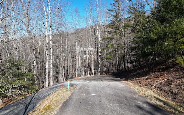 LOT37 Mountain Valley Ln, Blairsville GA, 30512 land for sale