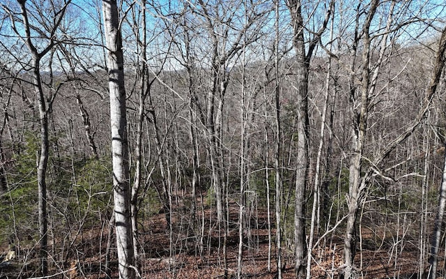 Listing photo 2 for LOT37 Mountain Valley Ln, Blairsville GA 30512