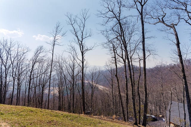 view of nature featuring a wooded view