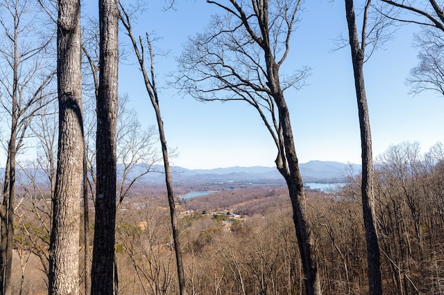 mountain view with a forest view