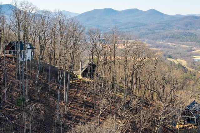 view of mountain feature with a view of trees