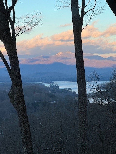 view of water feature with a mountain view