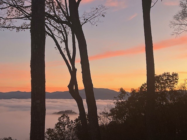 view of nature at dusk