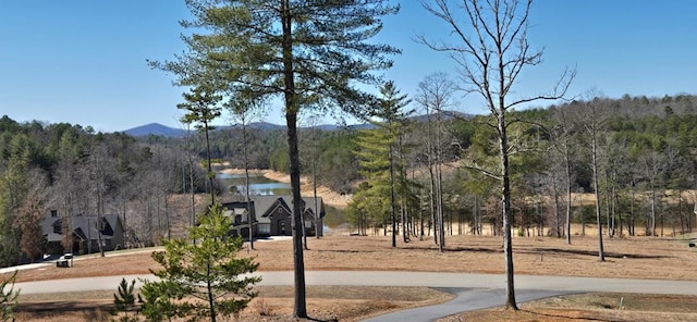 view of property's community featuring a water and mountain view