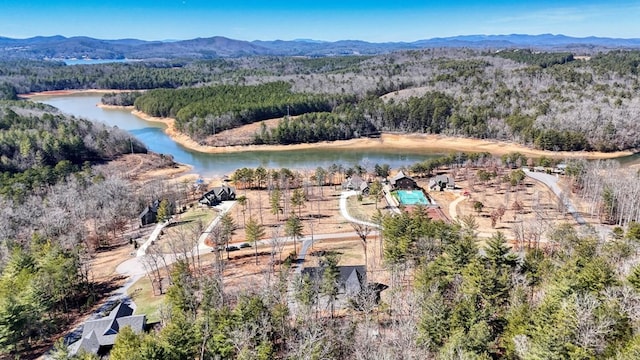 birds eye view of property with a forest view and a water and mountain view