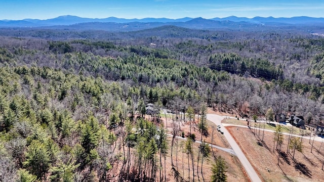 drone / aerial view featuring a mountain view and a view of trees