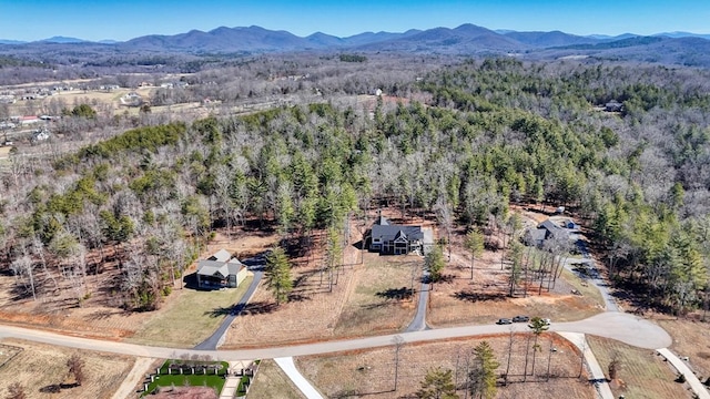 bird's eye view featuring a mountain view